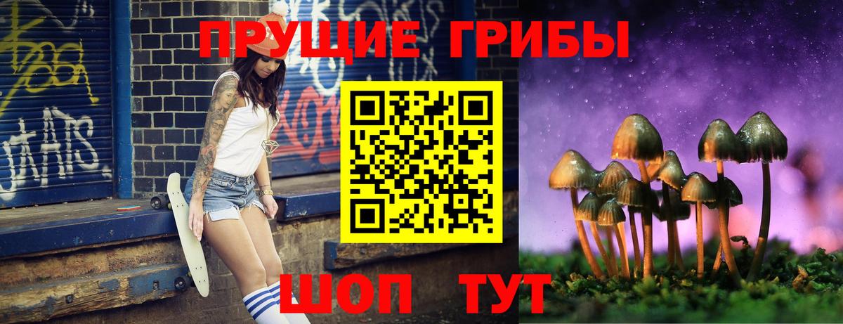 Псилоцибиновые грибы Psilocybe  Вход с VPN  Псилоцибиновые грибы ЛСД  Алушта 