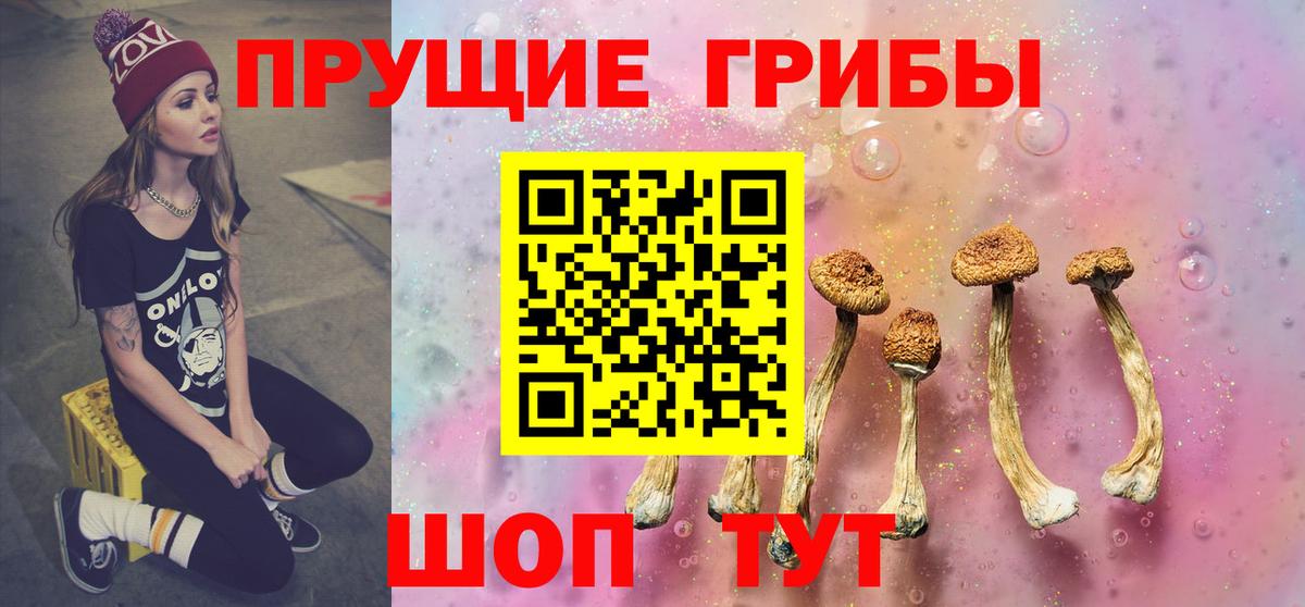Псилоцибиновые грибы Psilocybe Алушта